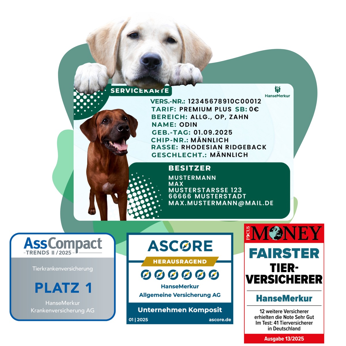 Glücklicher Hund – Hundekrankenversicherung