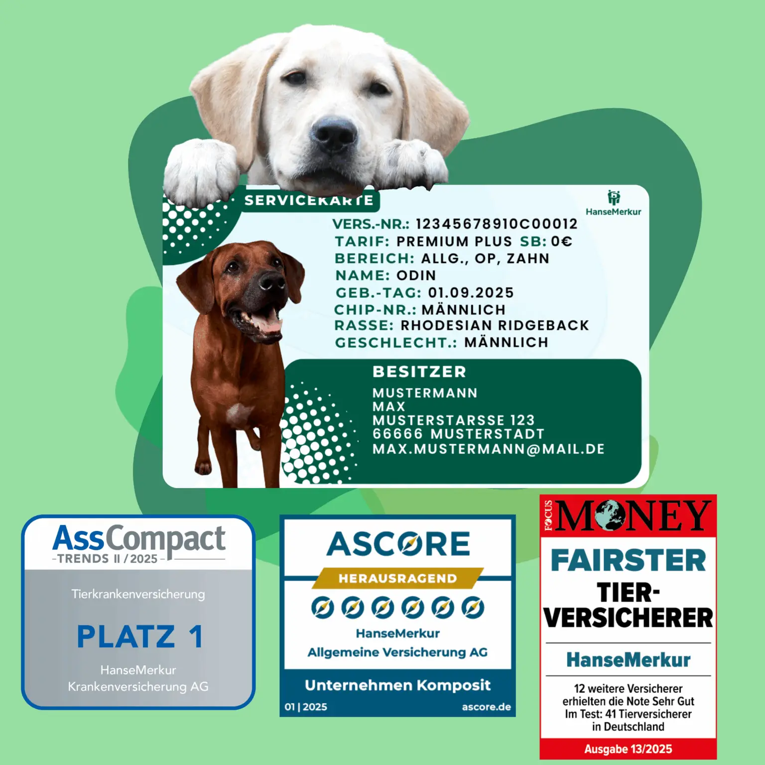 Grafik einer Tier-Servicekarte mit Hundebild, Vertragsdaten und Auszeichnungen der HanseMerkur.